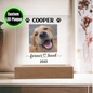 Personalized Light up Dog Memorial Plaque