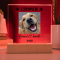 Personalized Light up Dog Memorial Plaque