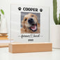 Personalized Light up Dog Memorial Plaque