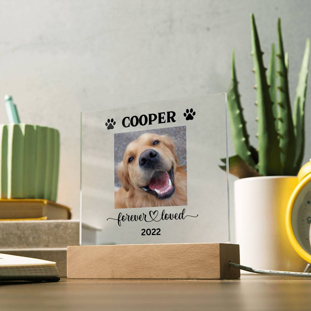 Personalized Light up Dog Memorial Plaque