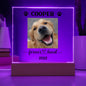 Personalized Light up Dog Memorial Plaque