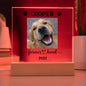 Personalized Light up Dog Memorial Plaque