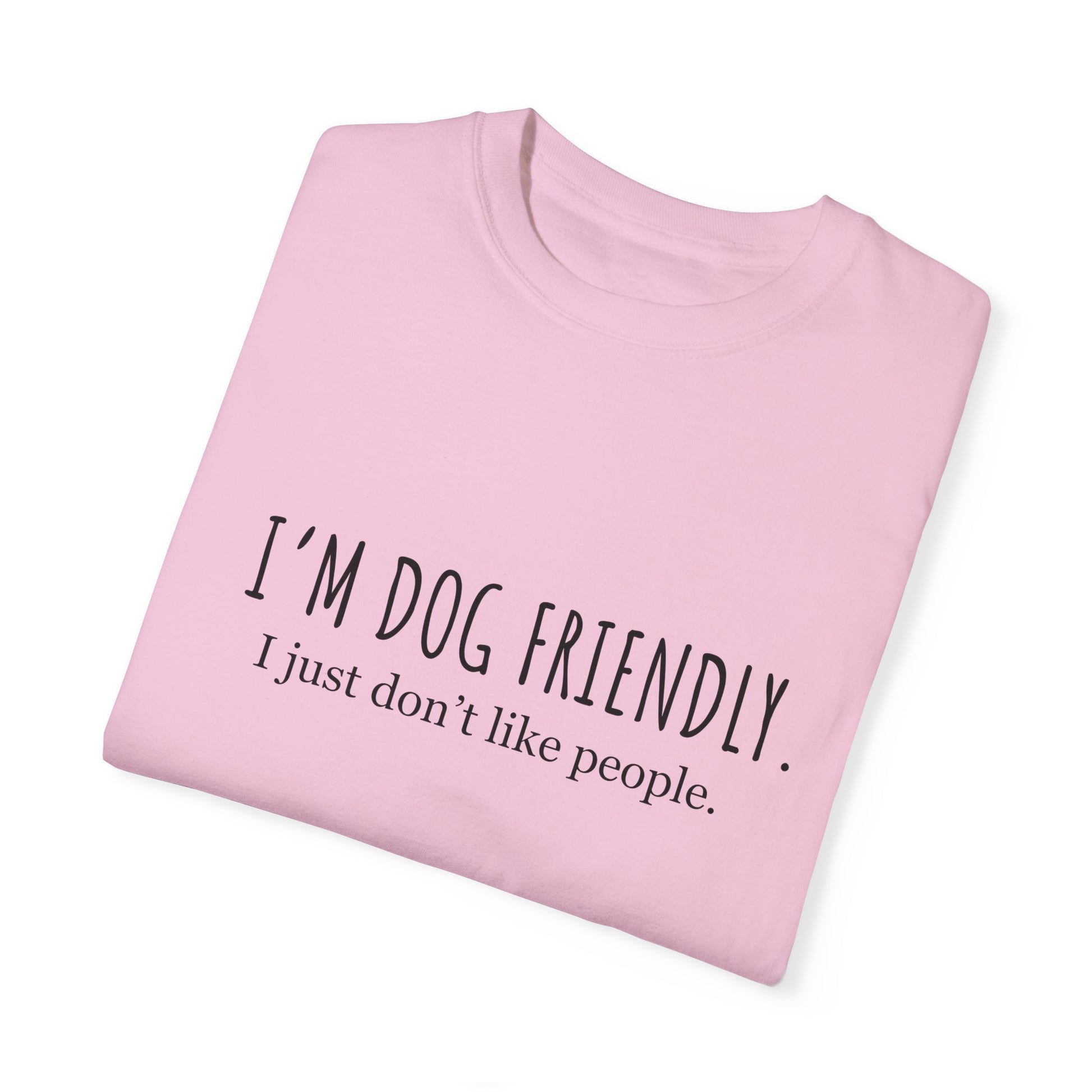 I am dog friendly Dog mom t-shirt