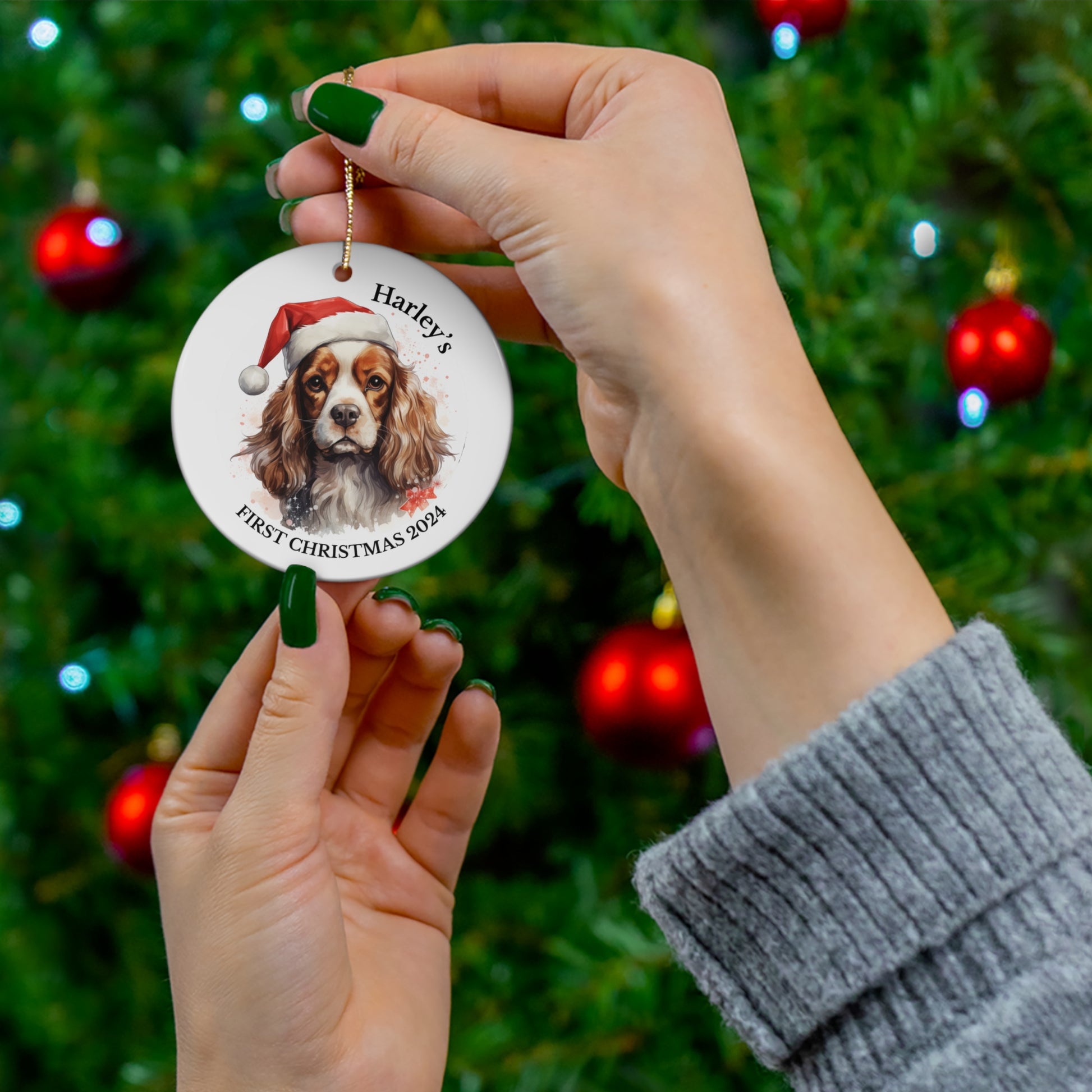 Custom Dog's First christmas ornament