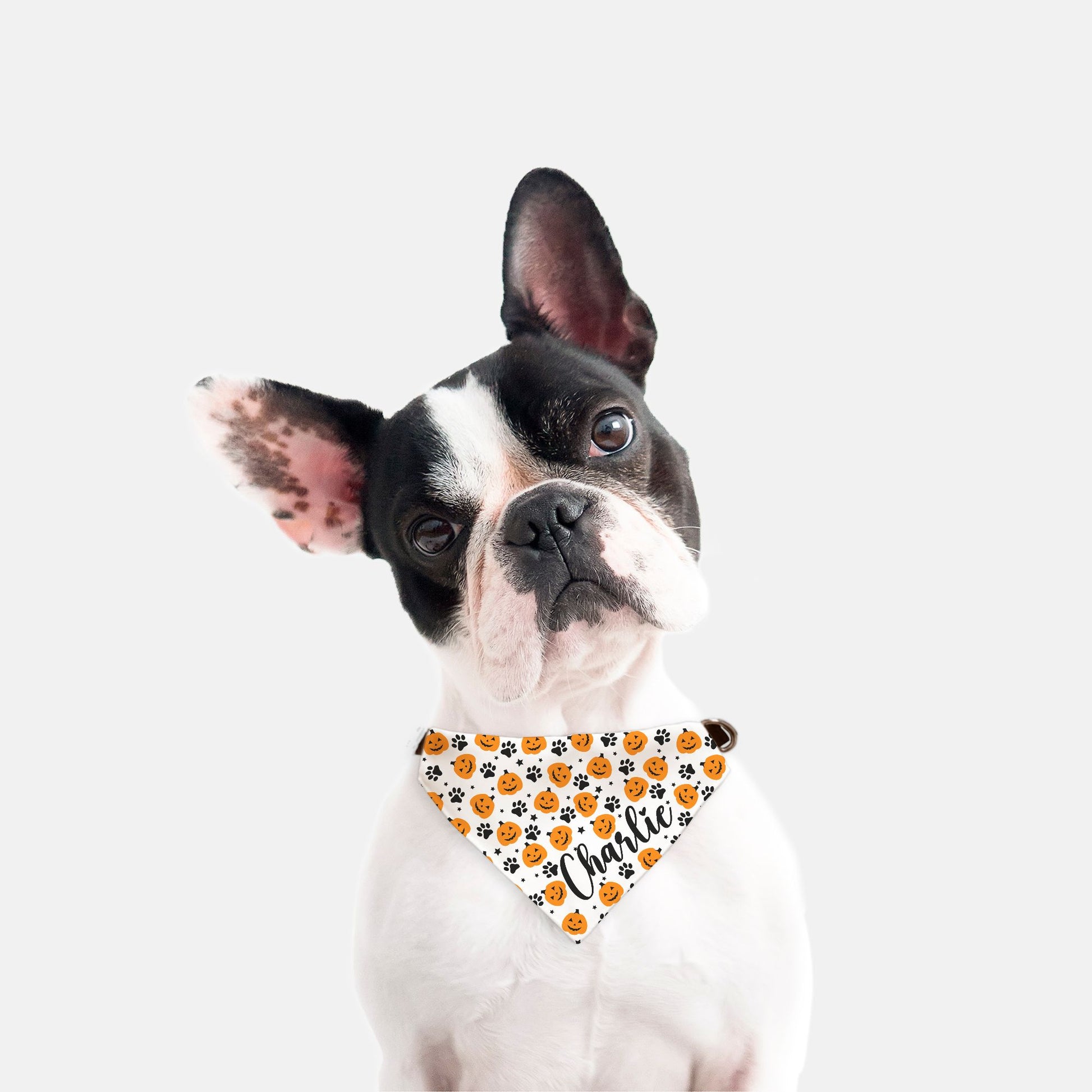 Personalized halloween Pet Bandana (Sm & Med)