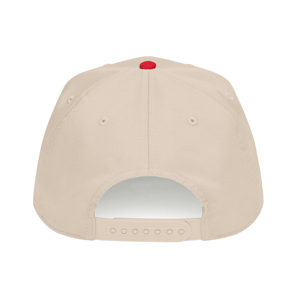 Dog Dad Baseball Cap — Paw Print Vintage Logo Hat for Pet Lovers