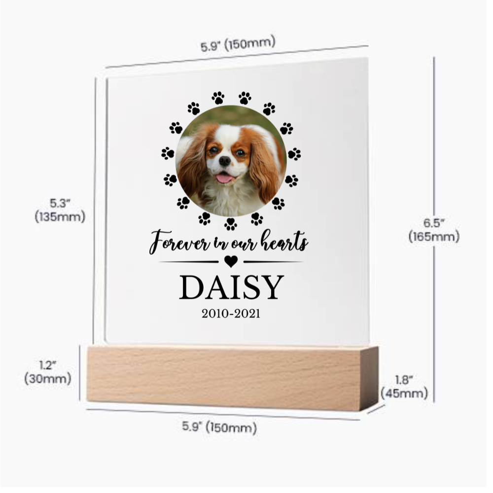 LED Custom Pet Memorial Acrylic Plaque