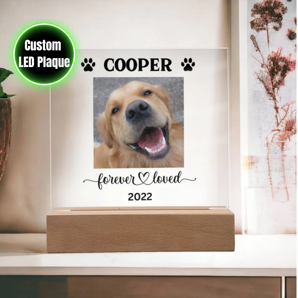 Personalized Light up Dog Memorial Plaque