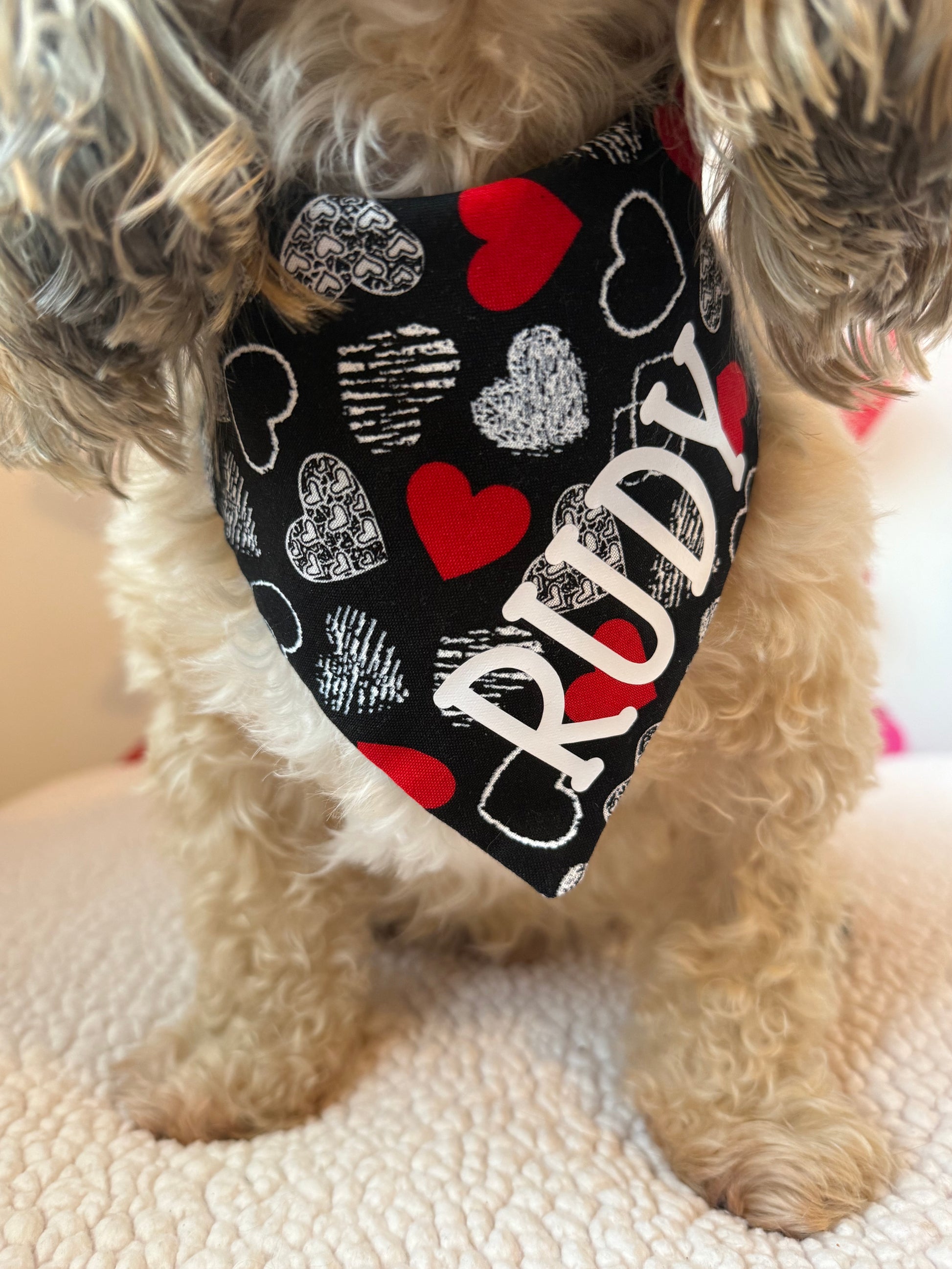 Valentine hearts Custom Scrunchie Dog Bandana