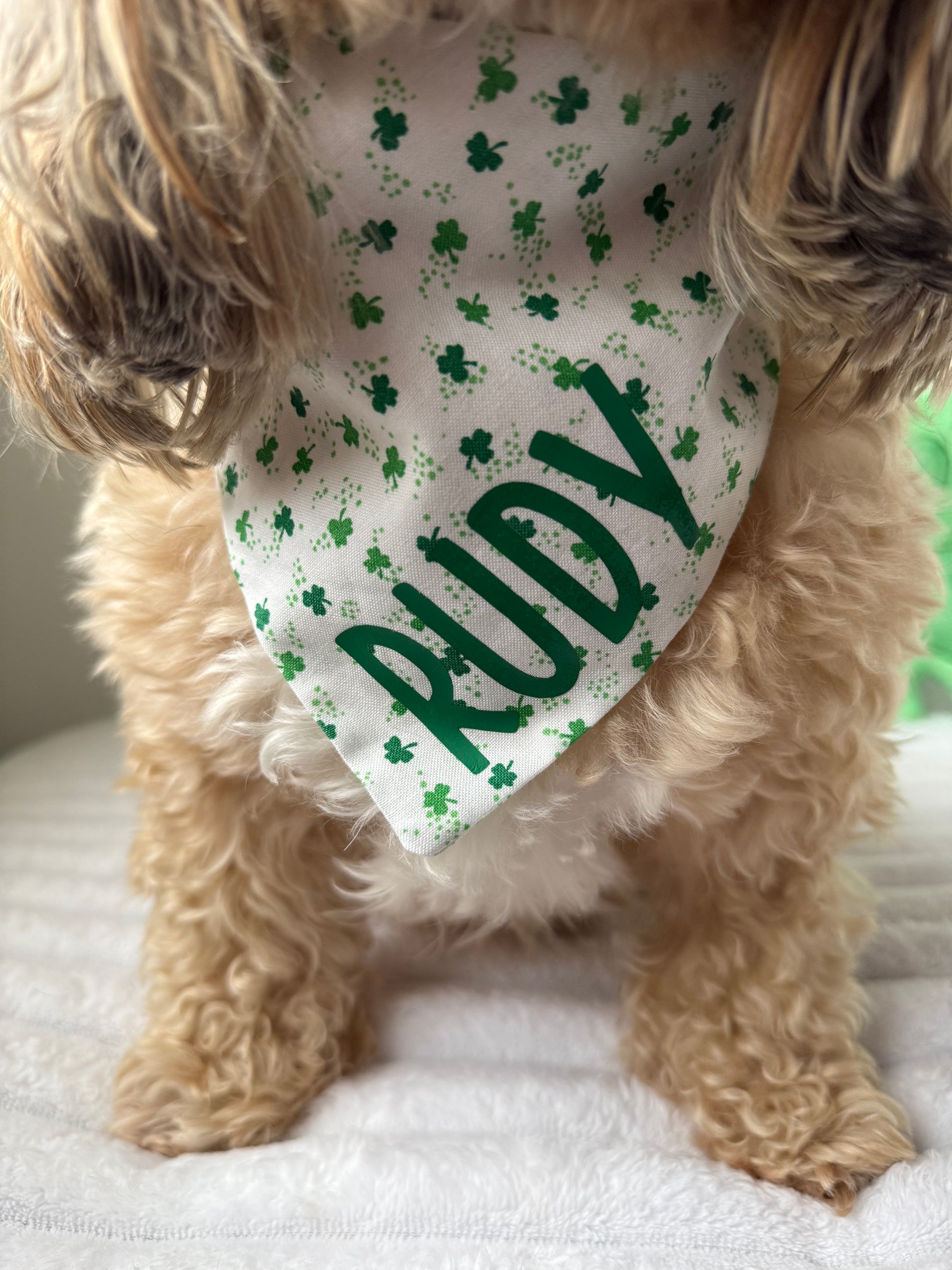 St. Patricks Scrunchie Dog Bandana
