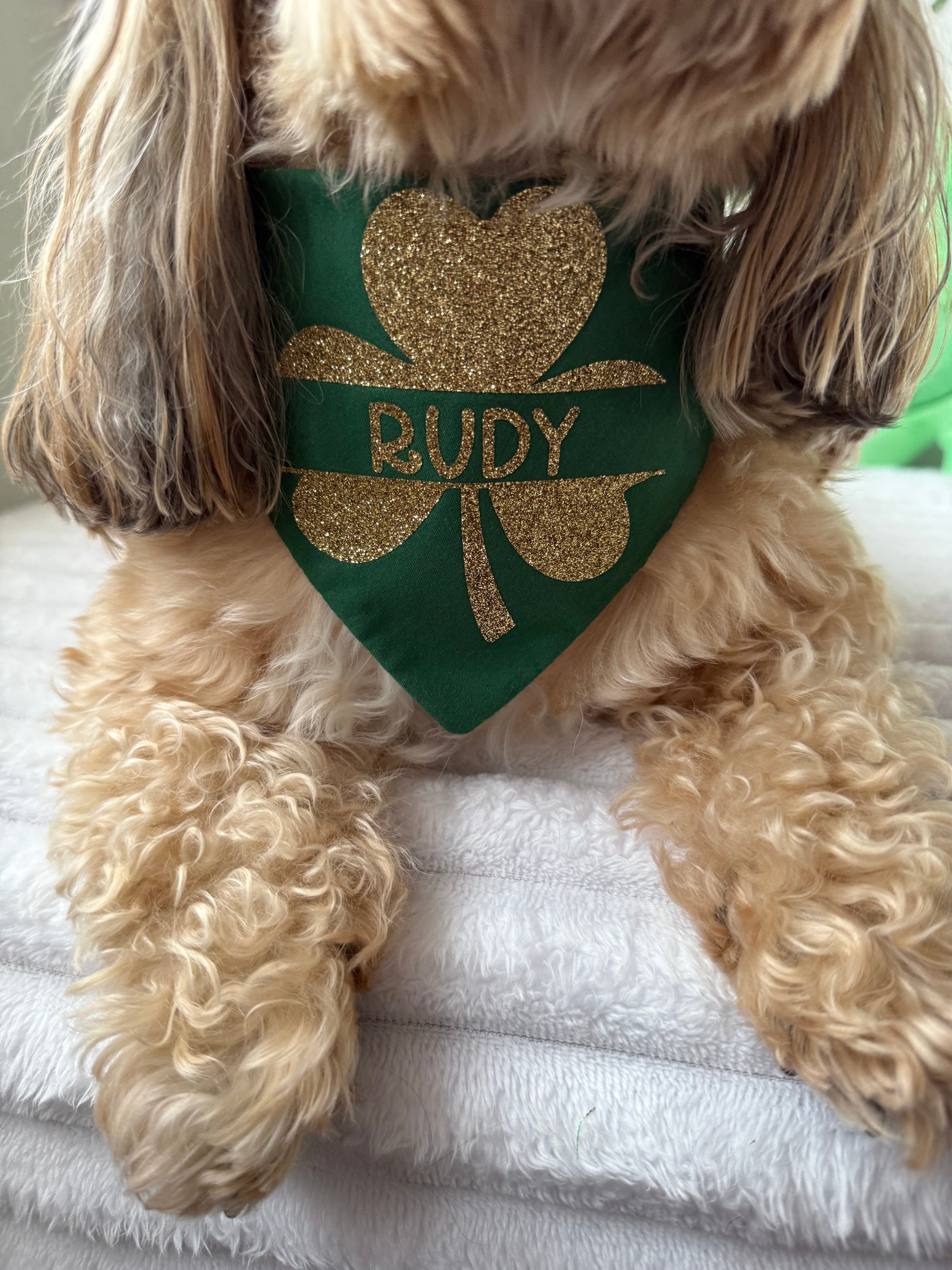 St. Patricks Scrunchie Dog Bandana