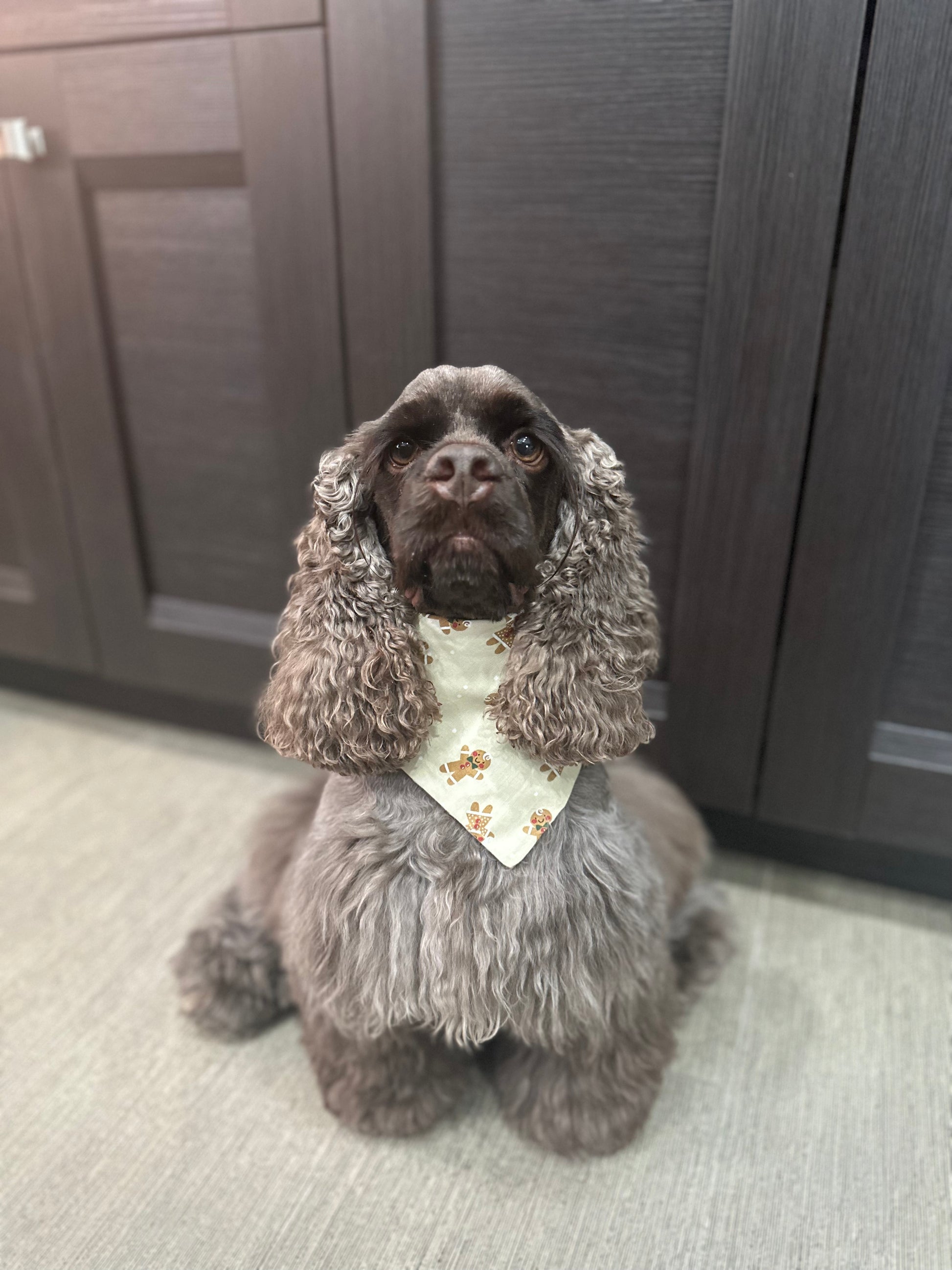 Gingerbread Scrunchie Dog Bandana