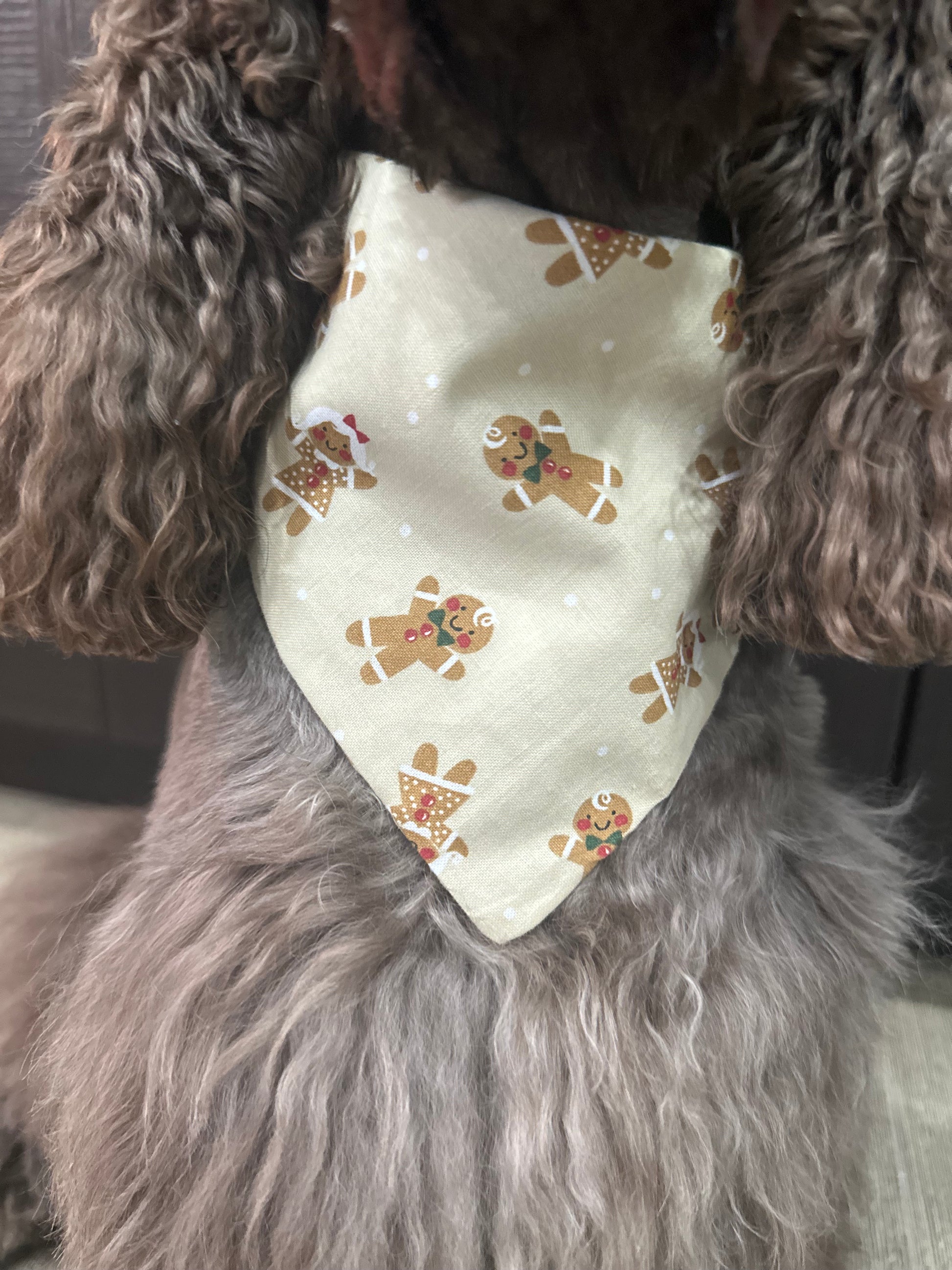 Gingerbread Scrunchie Dog Bandana