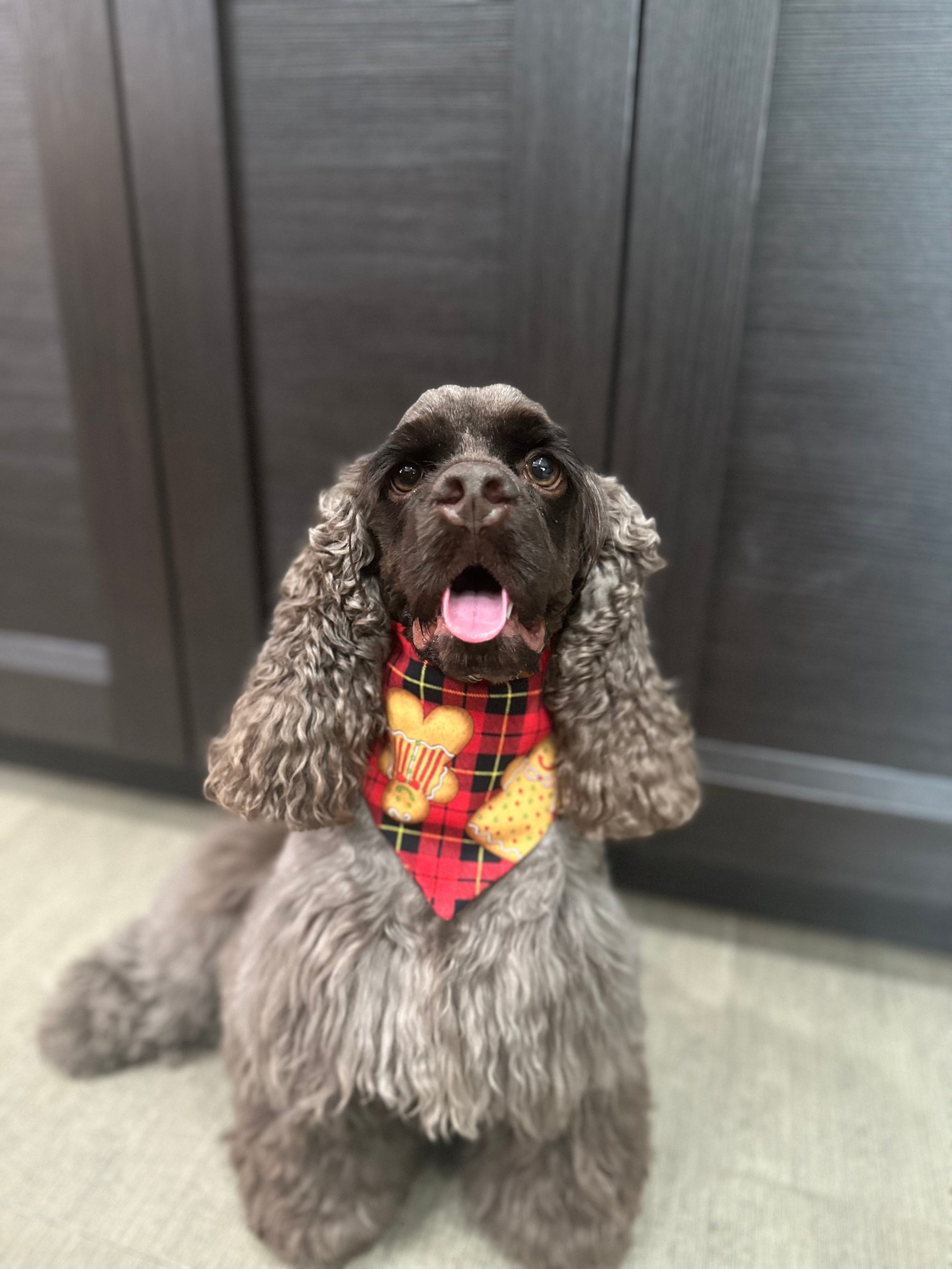 Christmas plaid gingerbread Scrunchie Dog Bandana