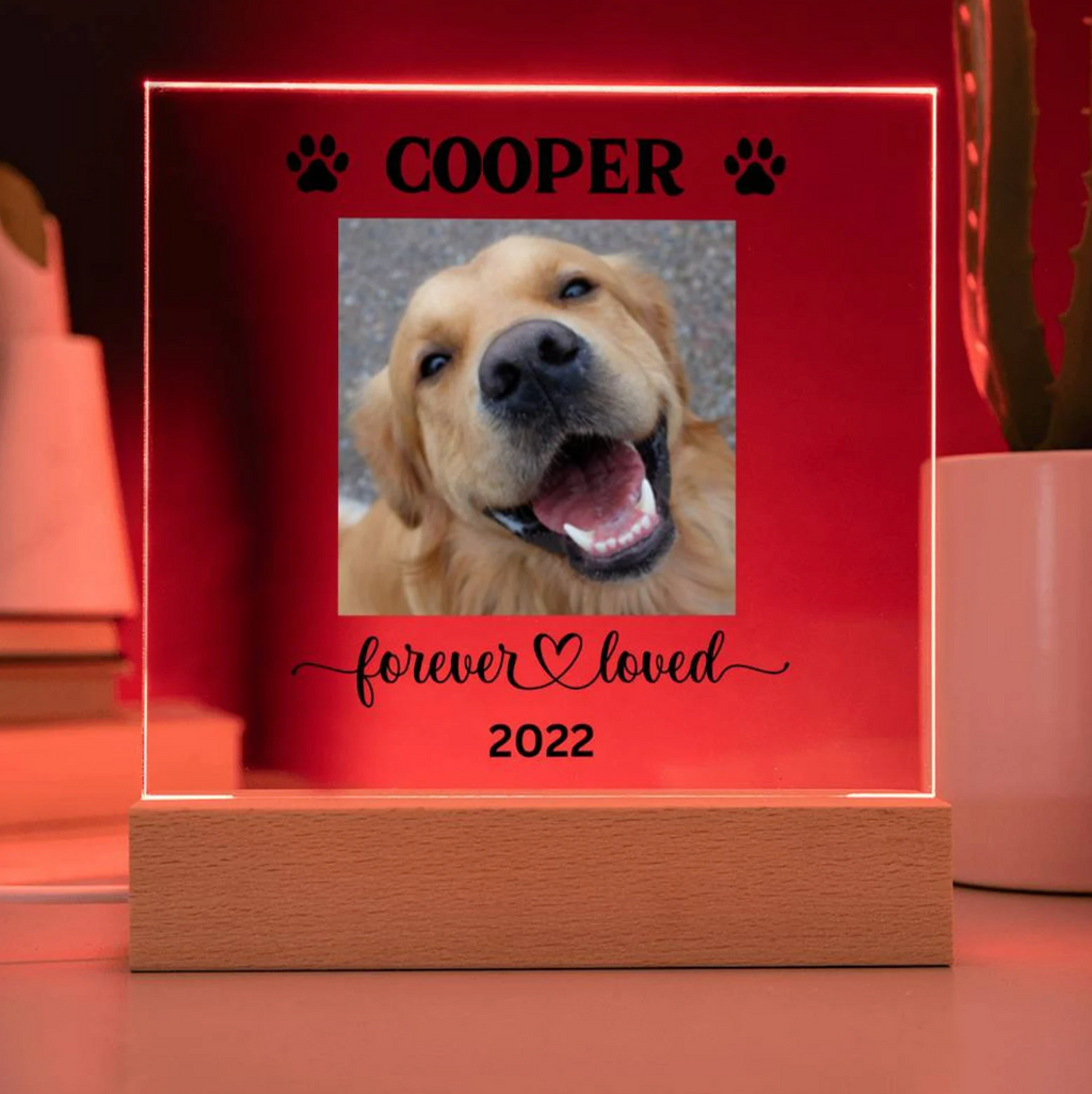 Personalized Light up Dog Memorial Plaque