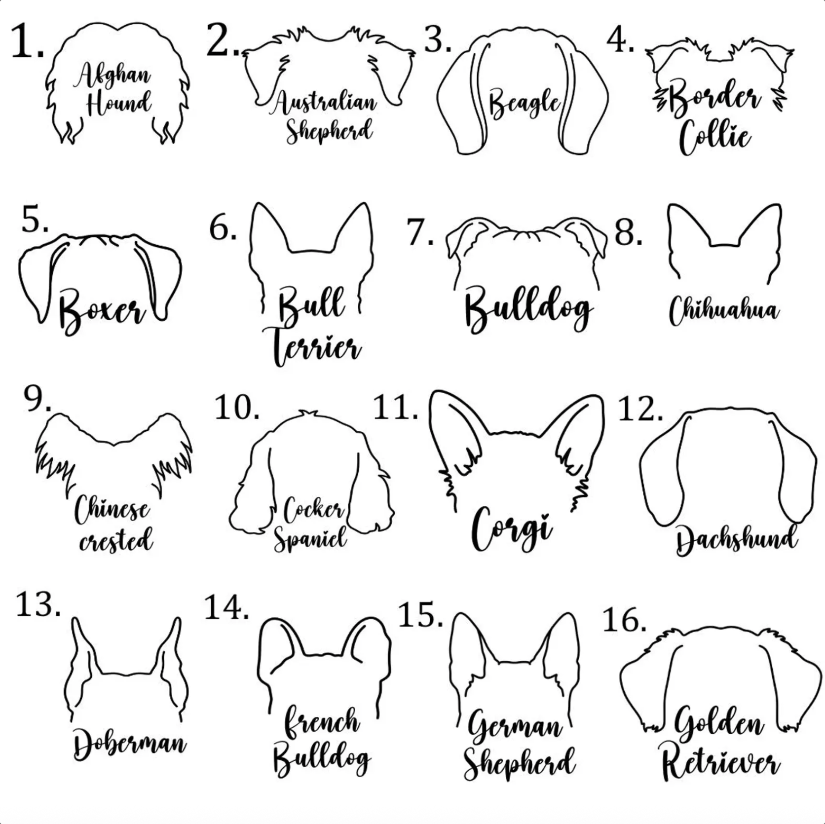 Silhouettes of various dog breeds with labels on a white background