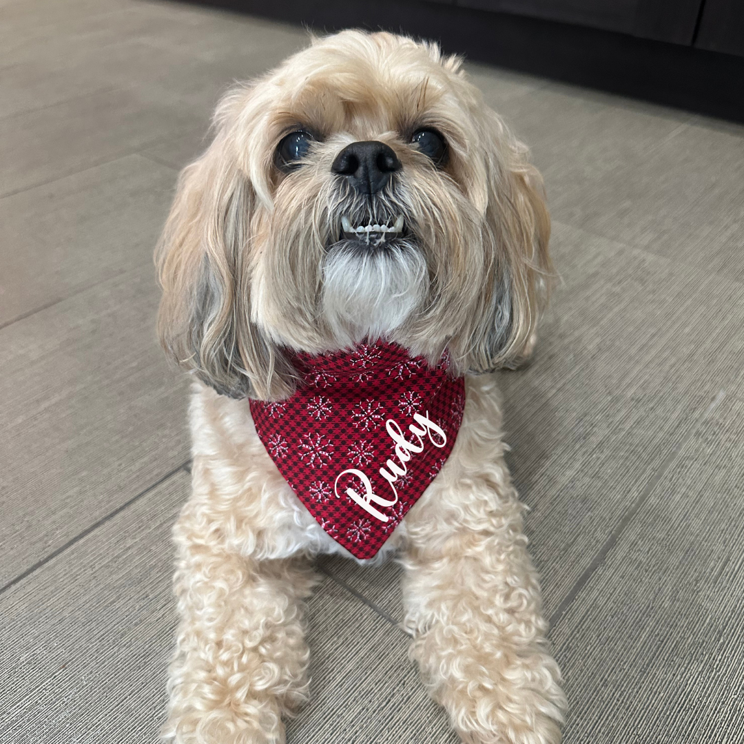 Christmas Snowflake Scrunchie Dog Bandana