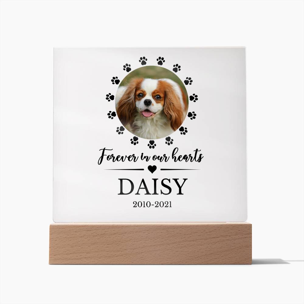 LED Custom Pet Memorial Acrylic Plaque