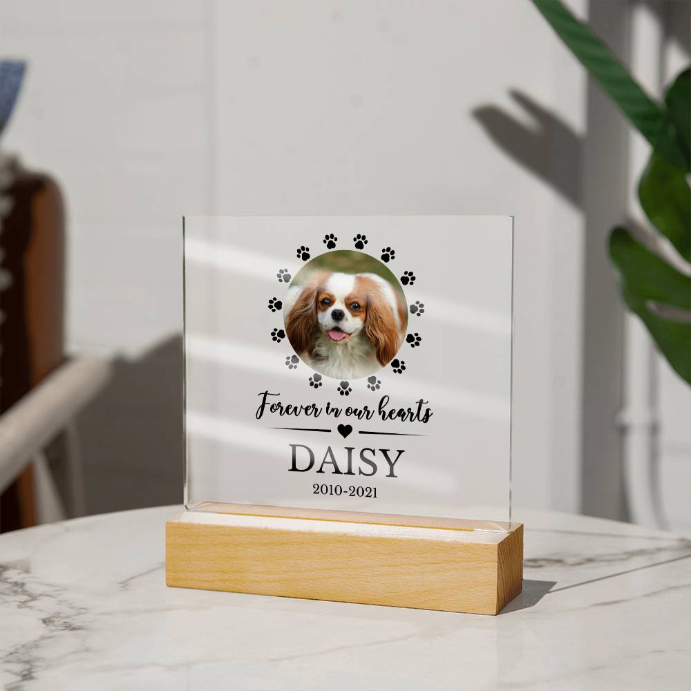 LED Custom Pet Memorial Acrylic Plaque