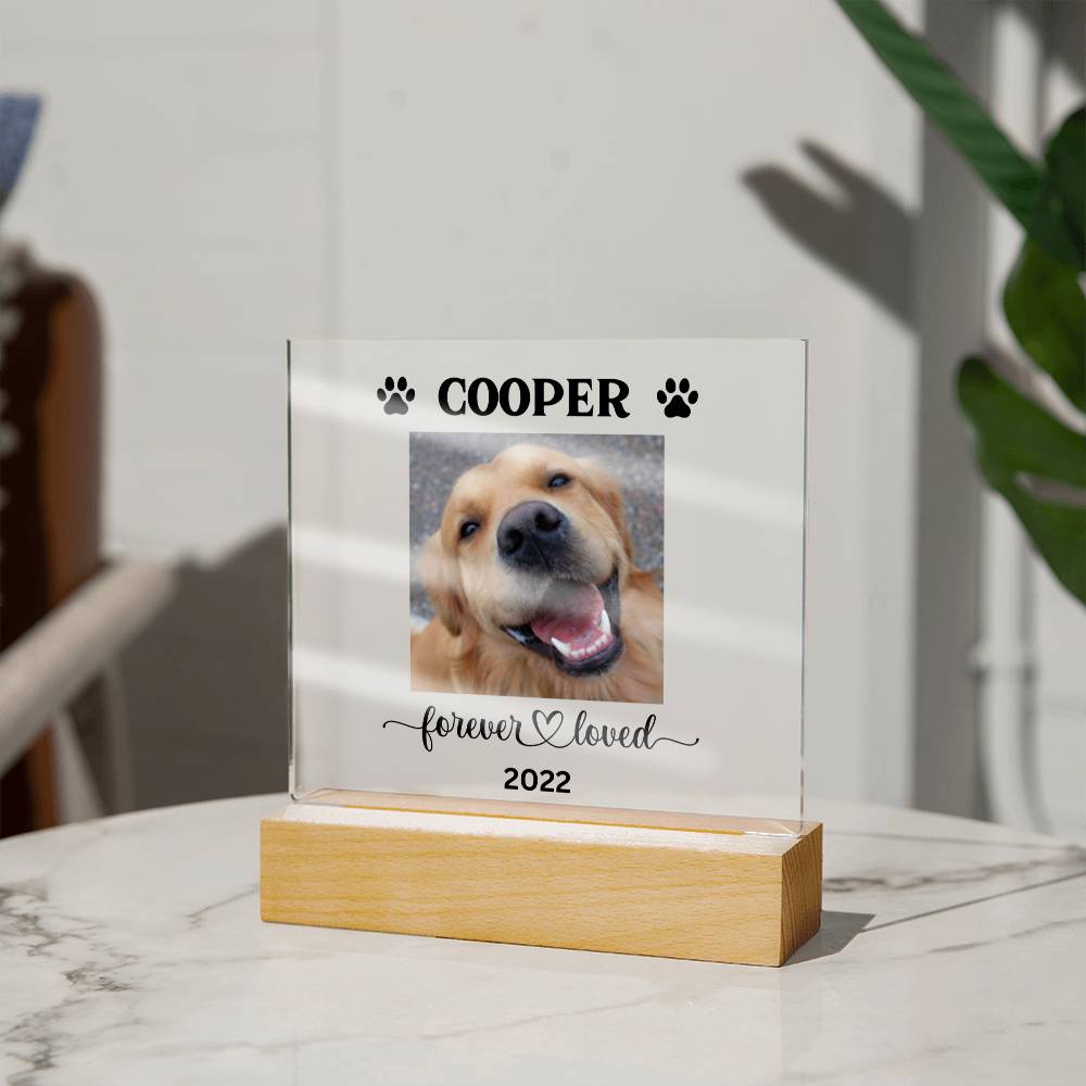 Personalized Light up Dog Memorial Plaque