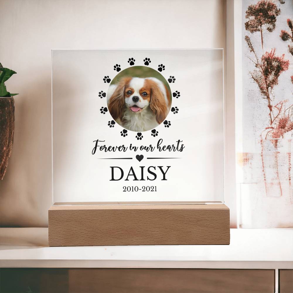 LED Custom Pet Memorial Acrylic Plaque