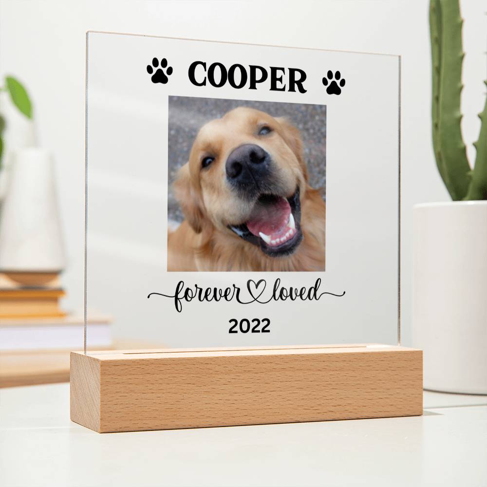 Personalized Light up Dog Memorial Plaque