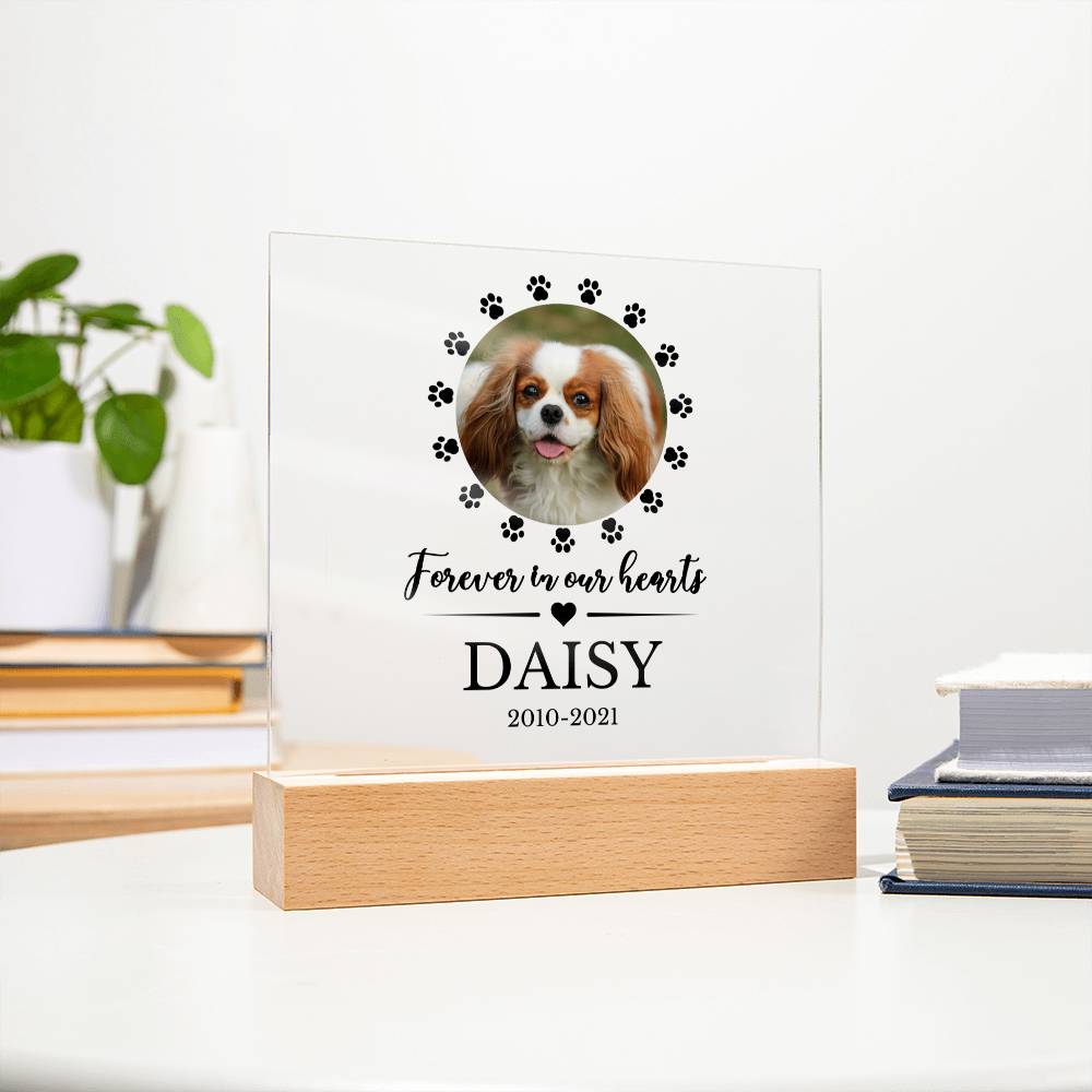 LED Custom Pet Memorial Acrylic Plaque