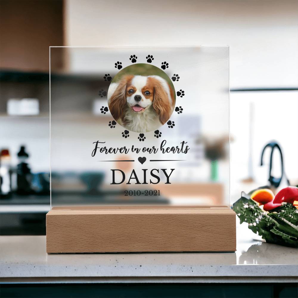 LED Custom Pet Memorial Acrylic Plaque