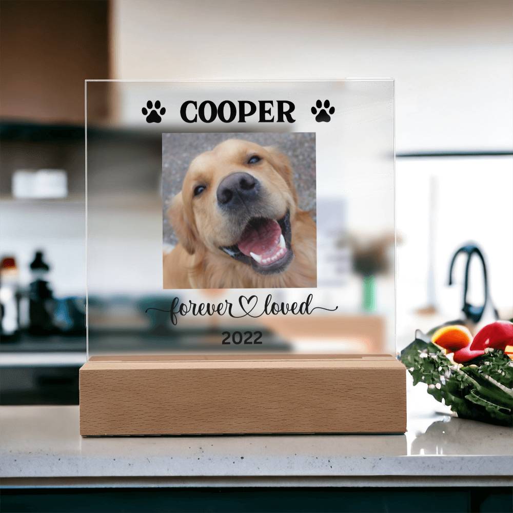 Personalized Light up Dog Memorial Plaque