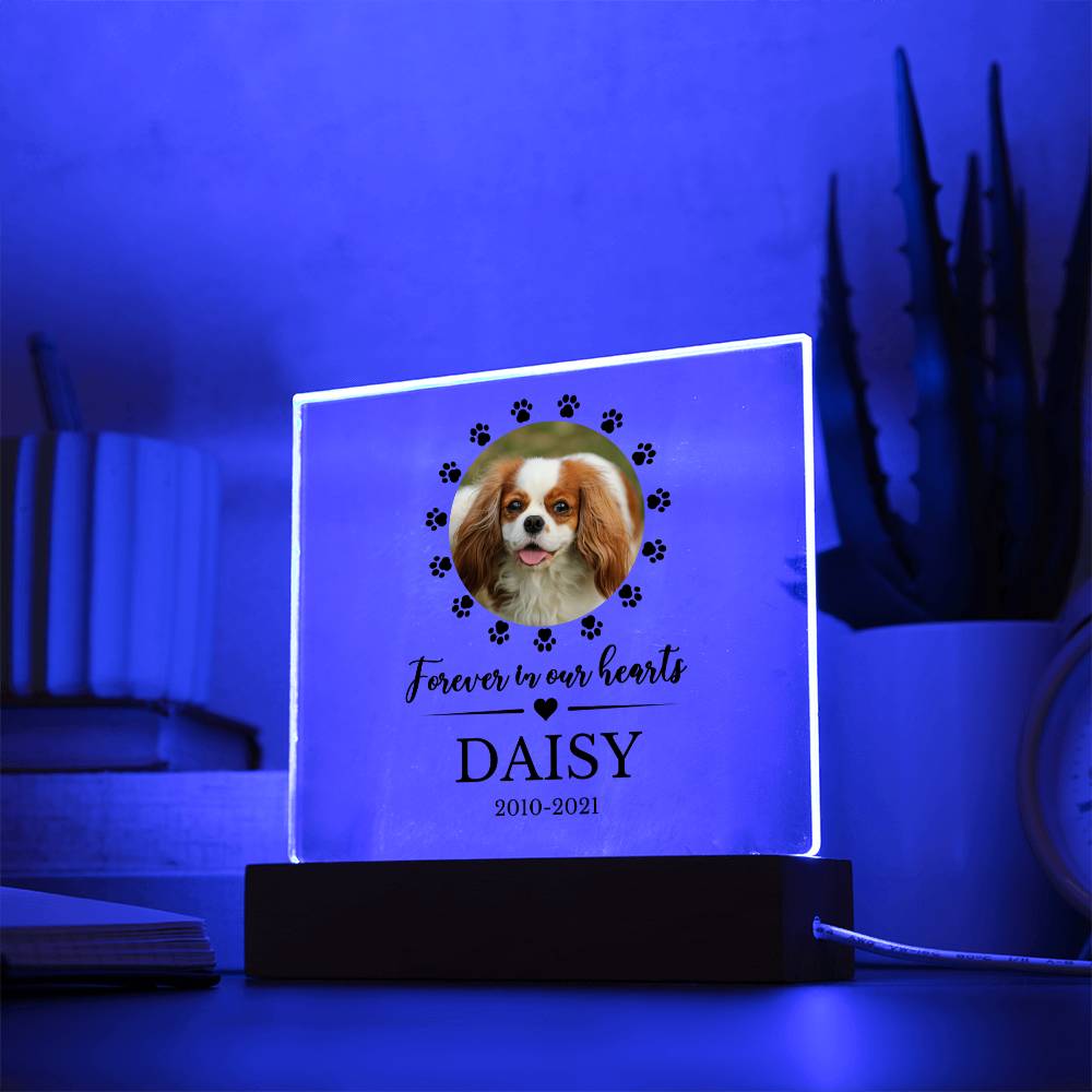 LED Custom Pet Memorial Acrylic Plaque