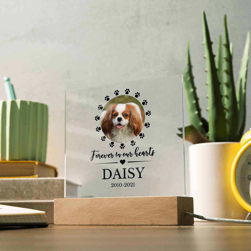 LED Custom Pet Memorial Acrylic Plaque