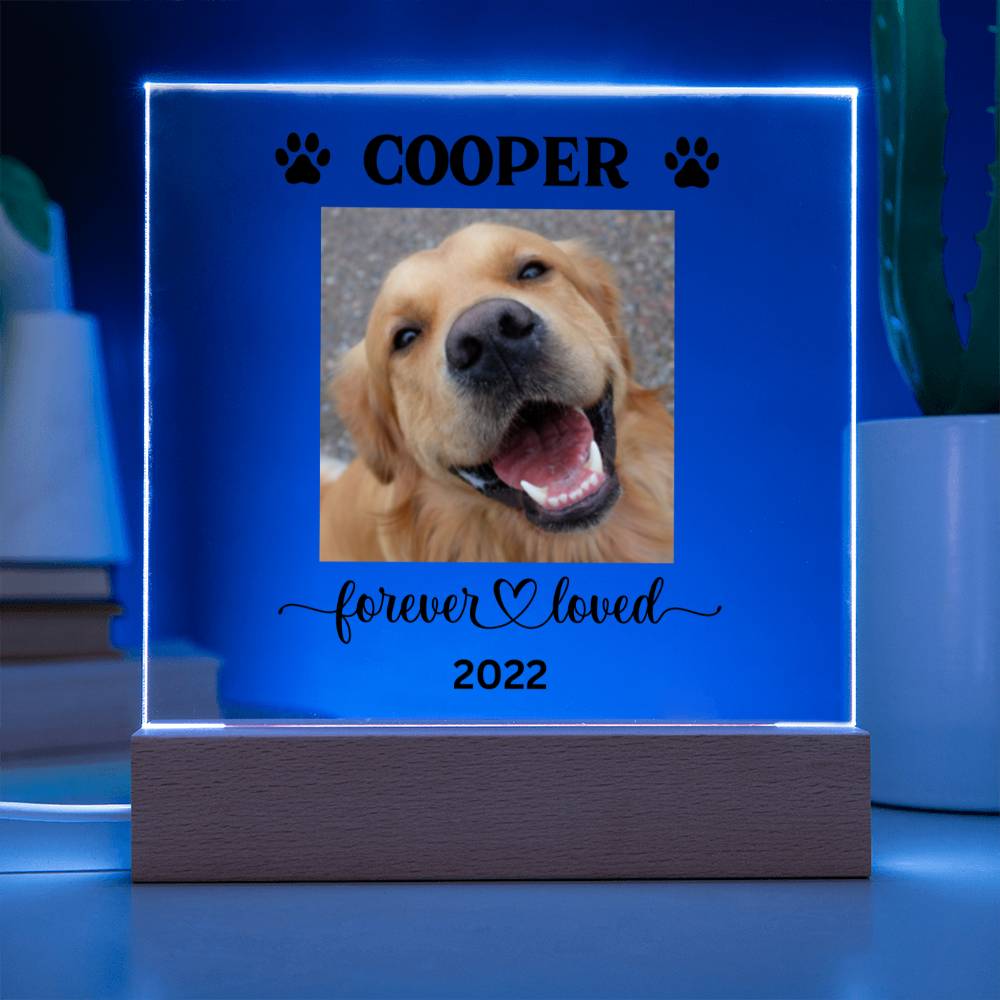 Personalized Light up Dog Memorial Plaque