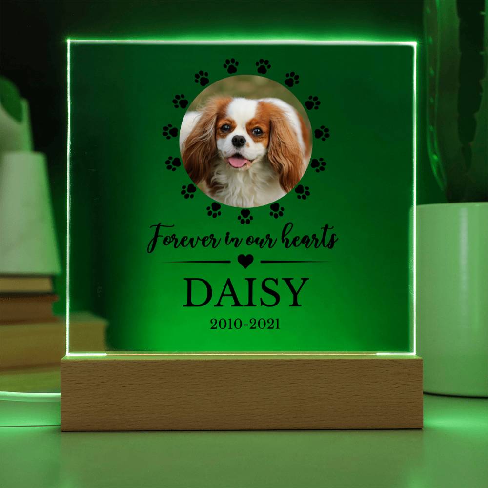 LED Custom Pet Memorial Acrylic Plaque