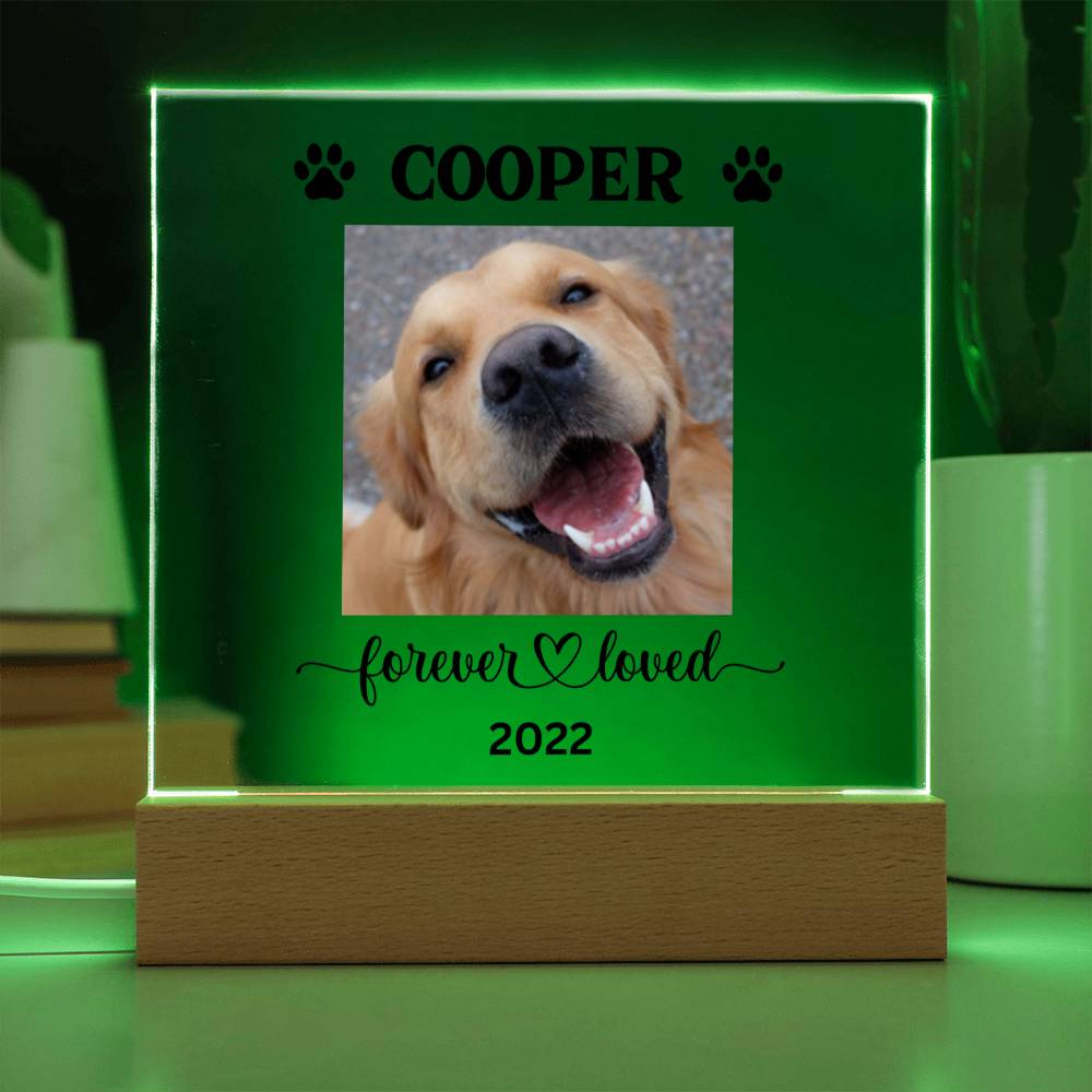 Personalized Light up Dog Memorial Plaque