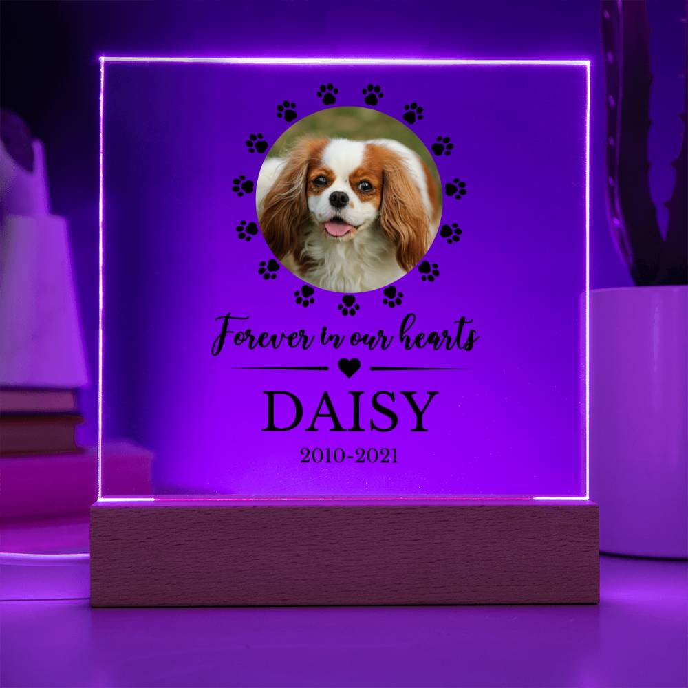 LED Custom Pet Memorial Acrylic Plaque