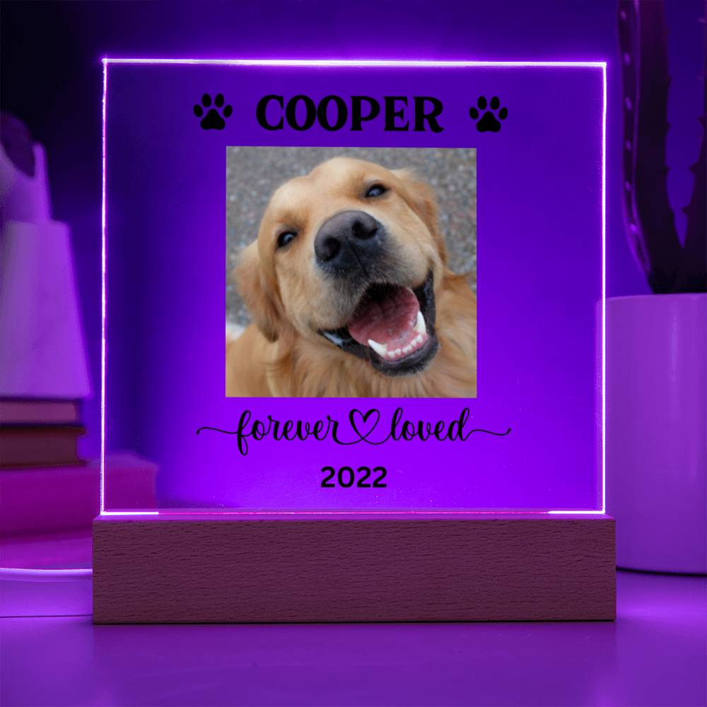 Personalized Light up Dog Memorial Plaque