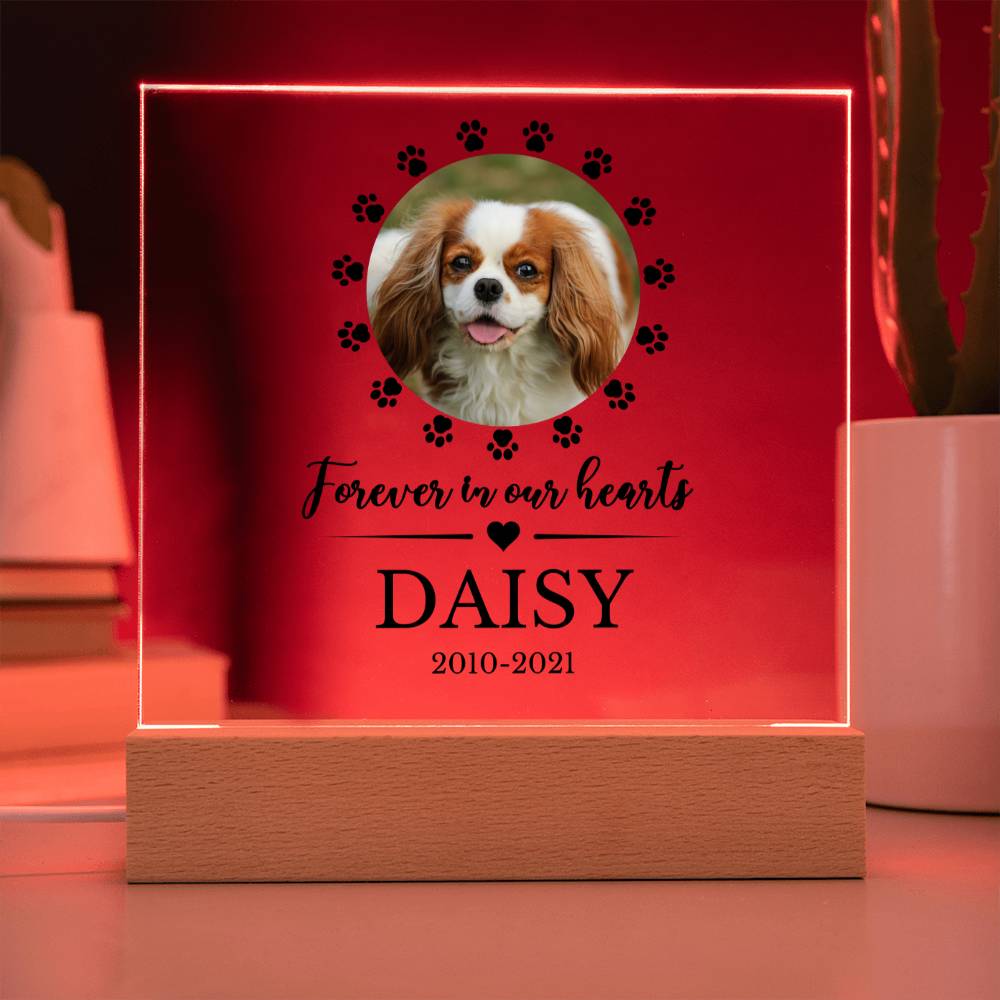 LED Custom Pet Memorial Acrylic Plaque
