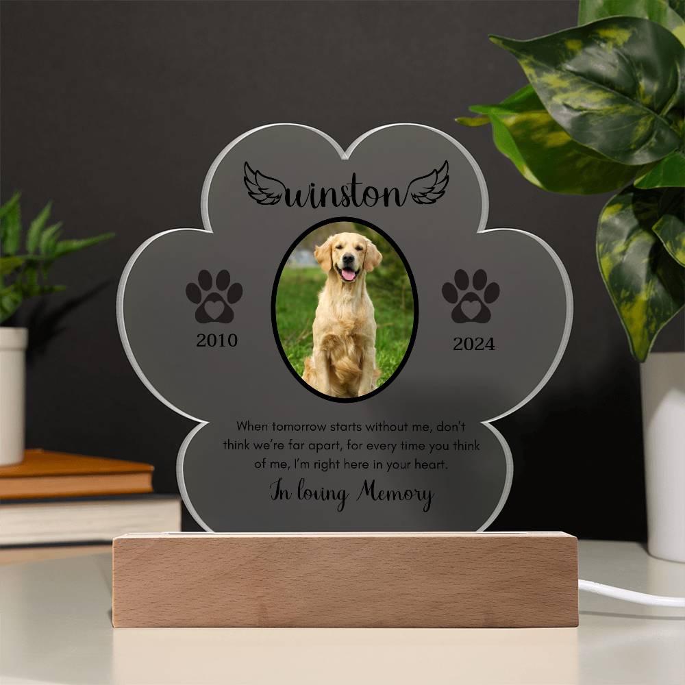 Personalized Pet Memorial LED Acrylic plaque