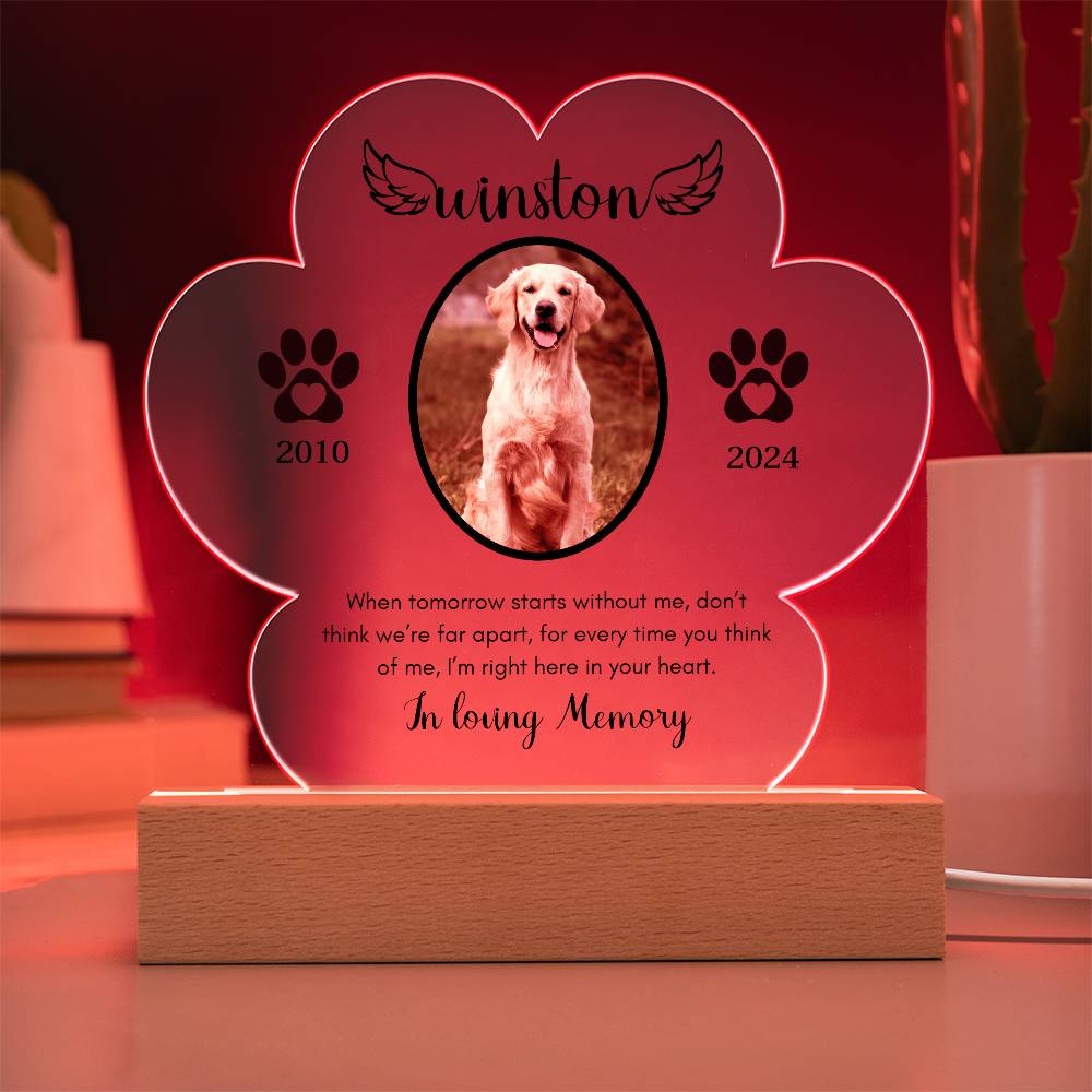 Personalized Pet Memorial LED Acrylic plaque