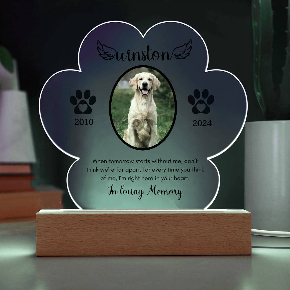 Personalized Pet Memorial LED Acrylic plaque