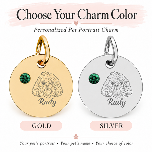 Engraved Birthstone Circle Charm — Personalized Pet Name & Birthstone Pendant