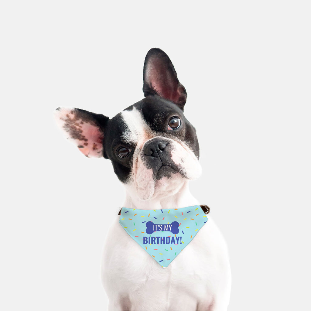 Birthday Collar Pet Bandana (Sm & Med)
